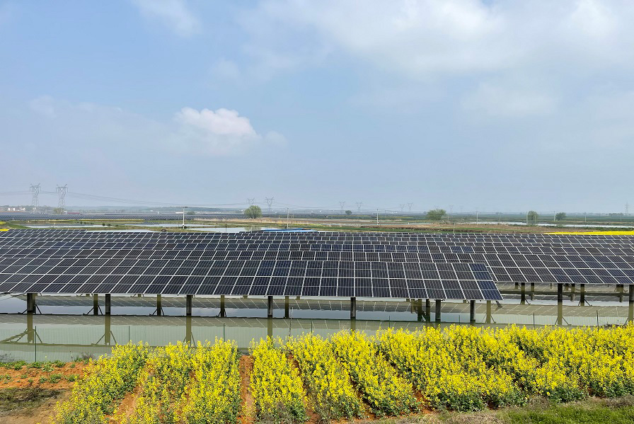 Xuancheng 23MW Farming Solar Panels
